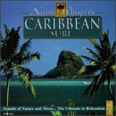 Nature Whispers: Caribbean Surf