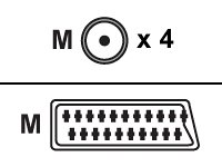 Speicherkarten: RGB Scart Adapter ELPKC29