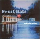 echolocation