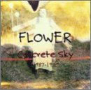 Concrete Sky