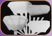 Lautsprecher: LumiQuest Pro Max Zubeh�r-Kit