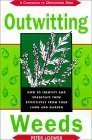 Solving Weed Problems: How to Identify and Eradicate Them Effectively from Your Garden