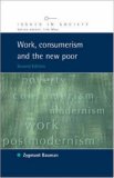 Work, Consumerism and the New Poor (Issues in Society)