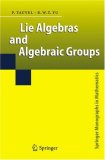 Lie Algebras and Algebraic Groups (Springer Monographs in Mathematics)