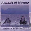 The Song of the Whale - Sounds of Nature