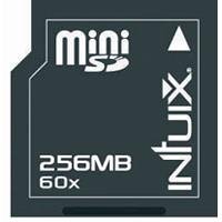 Digitalkameras: dexxon Intuix miniSD 256.0 MB SecureDigital Card 256MB 60x