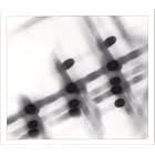 27:36 by Gregor Samsa