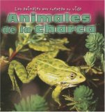 Animales De La Charca/Animals at the Pond (Los Animales Nos Cuentan Su Vida/Animal Show and Tell)