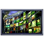 Sony PFM 42V1P/B - 42" PlasmaPro plasma panel - widescreen - 480p - EDTV monitor - black