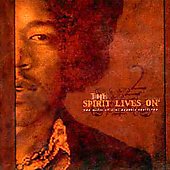The Spirit Lives On: Music of Jimi Hendrix Revisited, Vol. 2