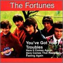 You've Got Your Trouble