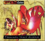 Terminal Spirit Disease