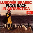 Lubom&iacute;r Brabec Plays Bach in Antarctica
