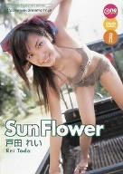 戸田れい/Sun Flower