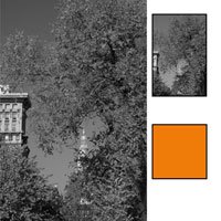 Kamerazubeh&ouml;r: B+W B&W BWF 041 rotorange 67 E