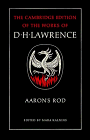 Aaron's Rod (The Cambridge Edition of the Works of D. H. Lawrence)