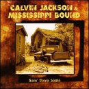 Goin' Down South