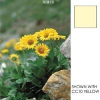 Camcorder: Cokin Yellow CC05C P 720 (gelb)