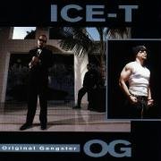ICE-T - Lifestyles of the Rich and Infamous Lyrics - Zortam Music