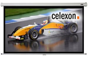 Camcorder: celexon Rollo Leinwand Economy 220 x 124 cm 16:9 Format