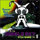This Is Jungle Sky, Vol. 2