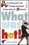 What Was Hot!: A Rollercoaster Ride through Six Decades of Pop Culture in America