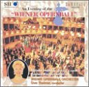 Evening at the Vienna Opera Ball