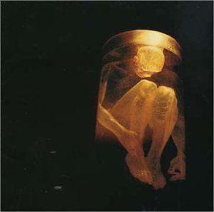 Alice In Chains - Nothing Safe: The Best Of The Box + 2 - Zortam Music