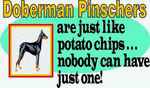 Doberman Pinschers are Just Like potato Chips Nobody can have Just One Apron