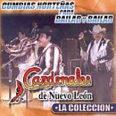 Cumbias Nortenas Para Bailar Y Bailar