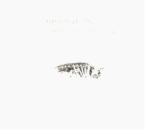 Lost Fragments