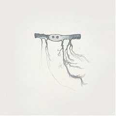 Jose Gonzalez『In Our Nature』