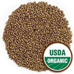 Organic Alfalfa Sprout Seeds