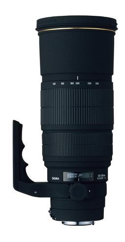 Festplatten: Sigma 120-300/2,8 APO EX DG HSM SIGMA