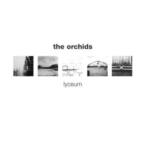 The Orchids - Lyceum - Zortam Music
