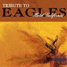 Guitar Tribute to Eagles Hotel California