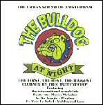 Bulldog at Night