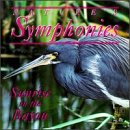 Nature's Symphonies: Sunrise in the Bayou