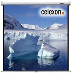 Camcorder: celexon Rollo Leinwand Economy 244 x 244 cm 1:1 Format