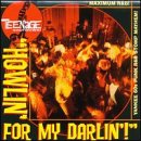 Teenage Shutdown: Howlin' for My Darlin'