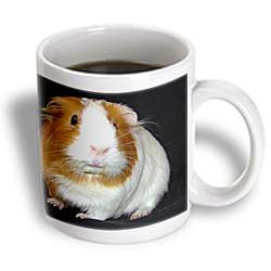 Guinea Pig - 11oz Mug