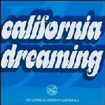 California Dreaming: The Ultimate Cyberhippy Experience
