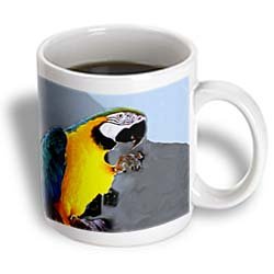 Blue and Gold Macaw - 15oz Mug