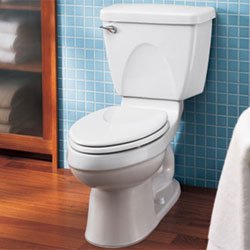 Champion Two-Piece Elongated Toilet - 2018.212