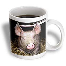 Pig - 15oz Mug