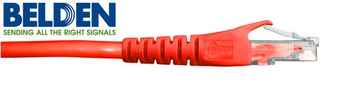 Kamerazubeh&ouml;r: Belden Gigabit Cat6 +, UTP Netzwerkkabel, 0.5m