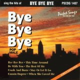 Sing The Hits Of Bye Bye Bye Pop Male (Karaoke)
