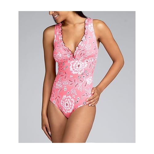 Monteray Bay V-Plunge One Piece Swimsuit Monteray Bay V-Plunge One Piece Swimsuit