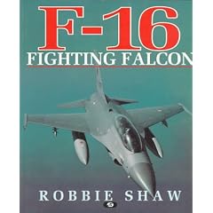 an F 16 Fighter Pilot survives behind enemy lines