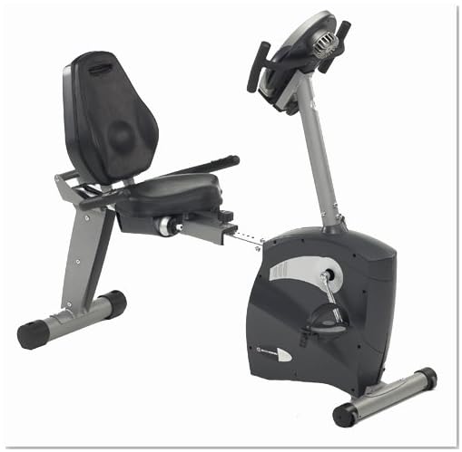 Schwinn 213 Recumbent Exercise Bike 